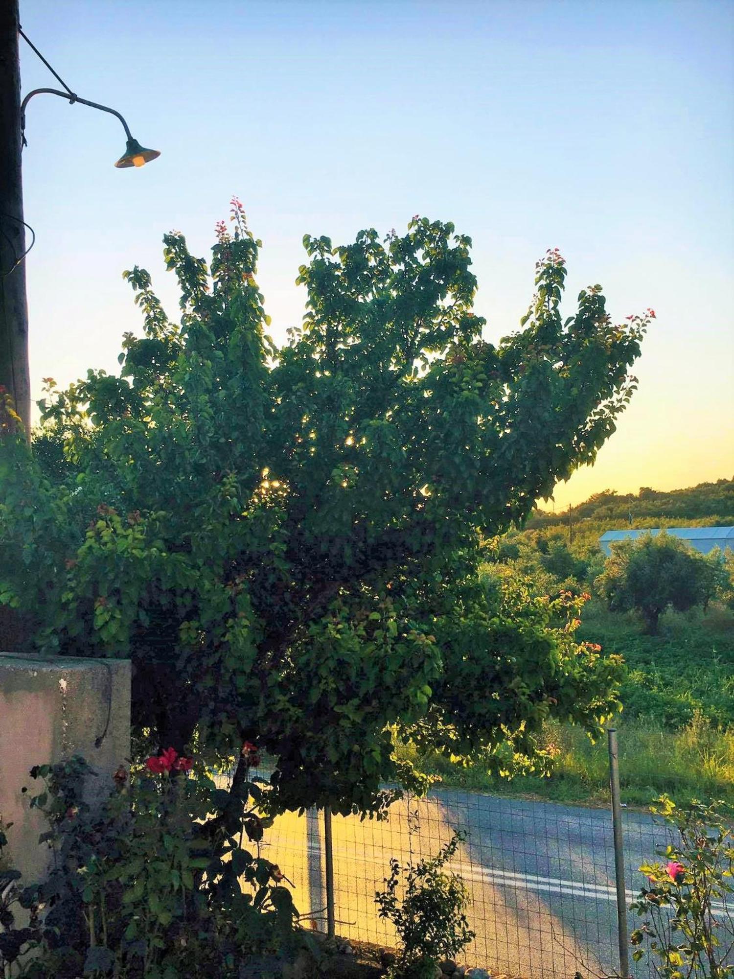 Evilion House Intholo. Sea, Nature, Relaxation! Esterno foto